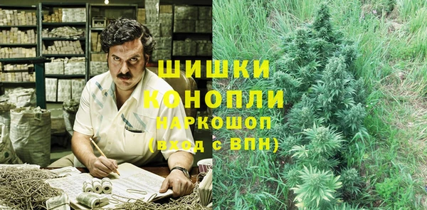 тгк Мегион