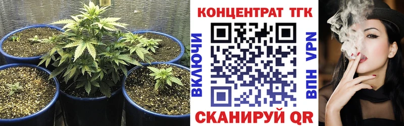 ТГК Wax  гидра как войти  Гаврилов Посад 